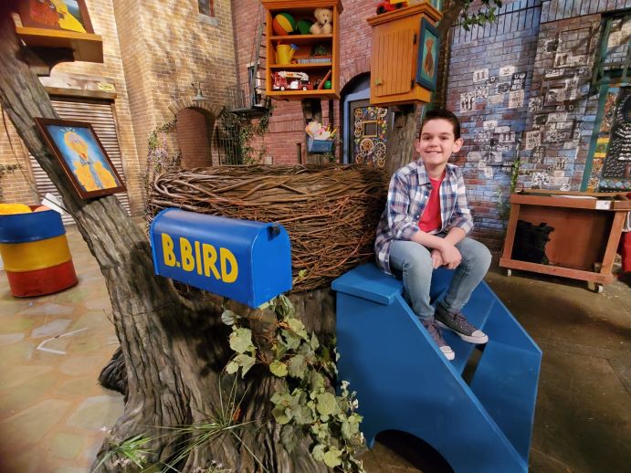 Sabatino Cruz Sesame Street Big Bird's House